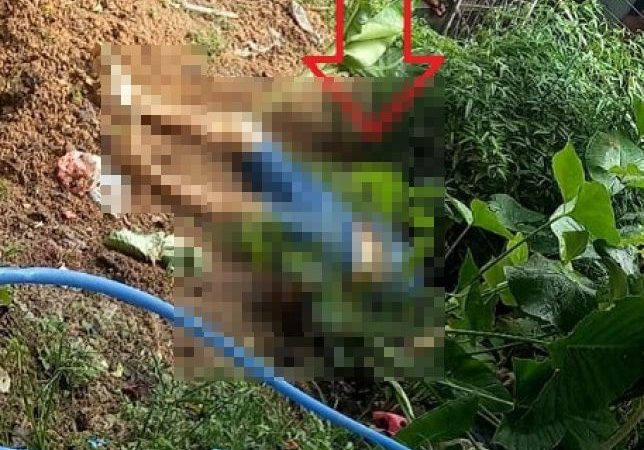 Homem acusado de estuprar criança de 3 anos é assassinado pelo próprio sobrinho e corpo é encontrado com faca cravada no bairro de Petrópolis, Zona Sul de Manaus. Veja Vídeo: