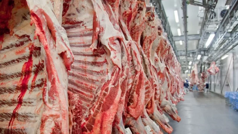 Brasil quebra o recorde de exportação de carne bovina no mundo